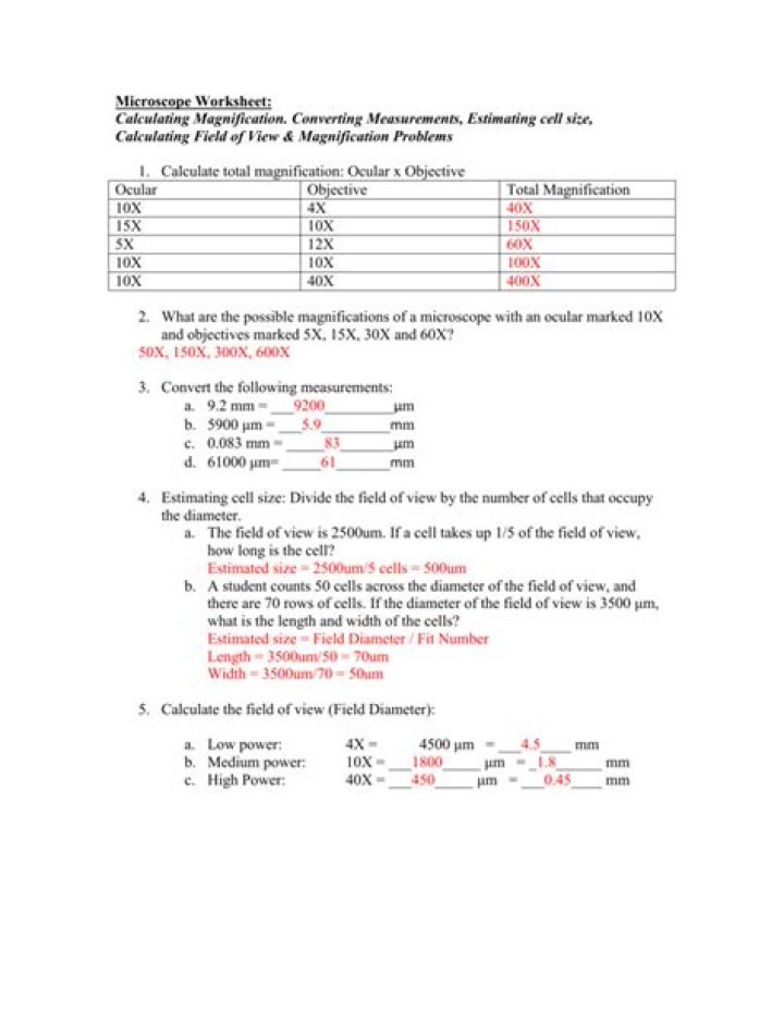 Biology Magnification Questions & Answers PDF: Expert Study Guide