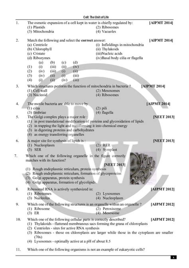 Top Biology NEET Questions PDF – Perfect for Exam Prep