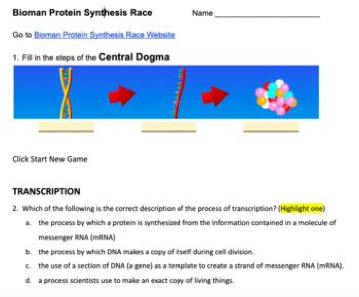 Bioman Protein Synthesis Race Answer Key PDF – Instant Download