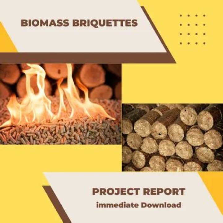 Complete Biomass Briquettes Business Plan PDF for Profitable Startups