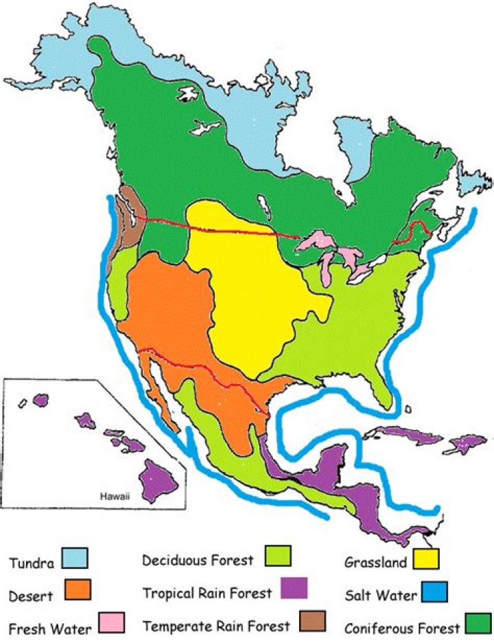 Biomes of North America PDF Answer Key: Study Guide & Full Breakdown