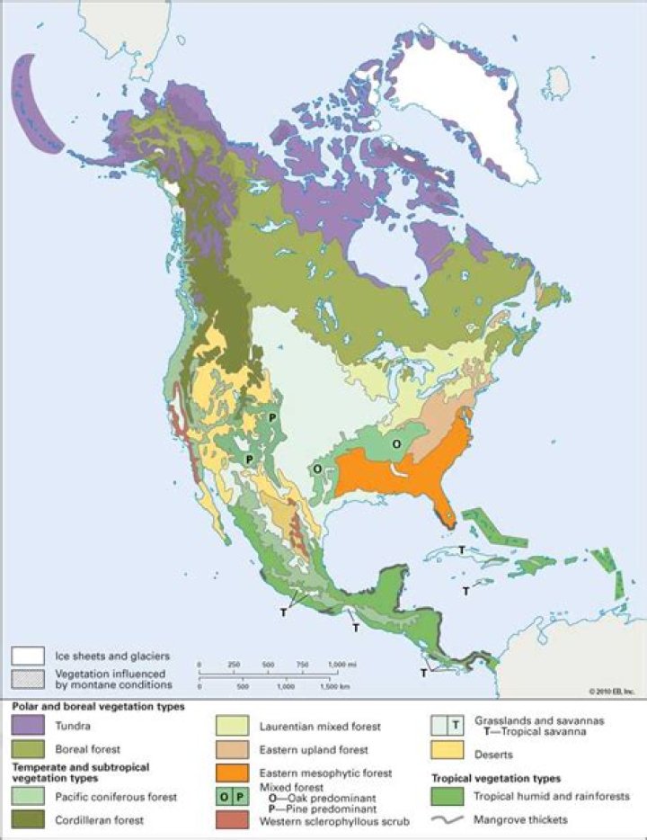 North America Biomes Worksheet Answers PDF – Perfect Study Resource