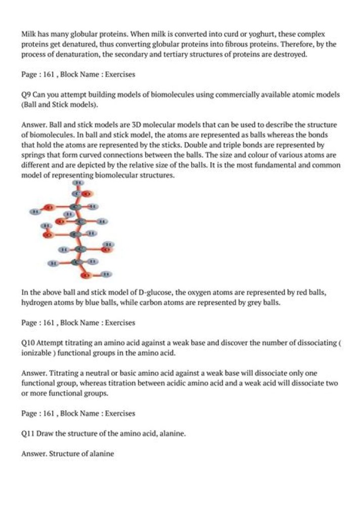 Biomolecules Questions & Answers PDF for Class 11 – Instant Study Guide