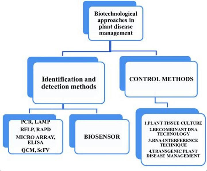 Biotechnological Approaches in Pest Management: A Comprehensive PDF Guide