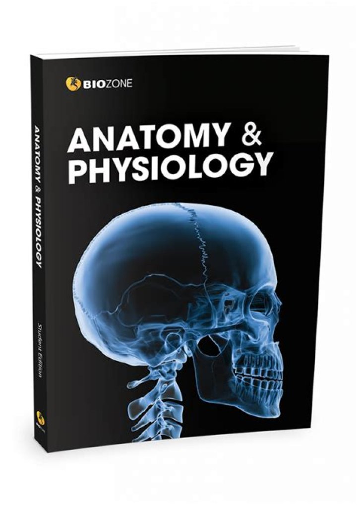 Comprehensive Biozone Anatomy & Physiology Answers PDF Guide