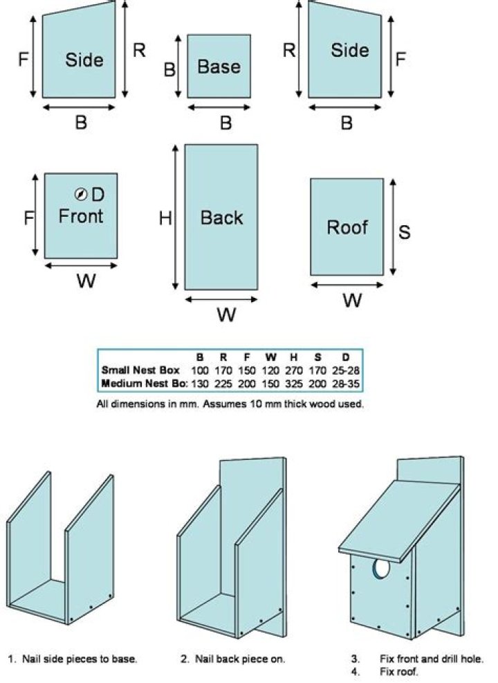 Free Bird Box Plans PDF for Easy DIY Nest Box Construction