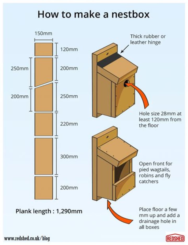 Free Bird Box Plans PDF – Easy DIY Bird Houses for Backyard Birds