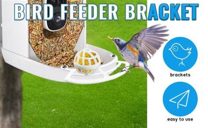 Bird Buddy Parts List PDF | Printable Guide for Bird Care
