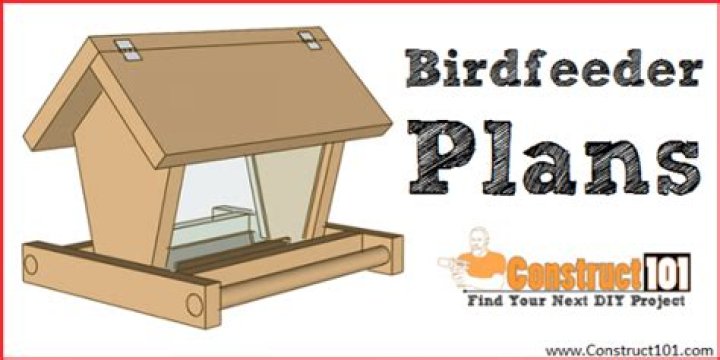 Free Bird Feeder Plans PDF – Easy DIY Designs