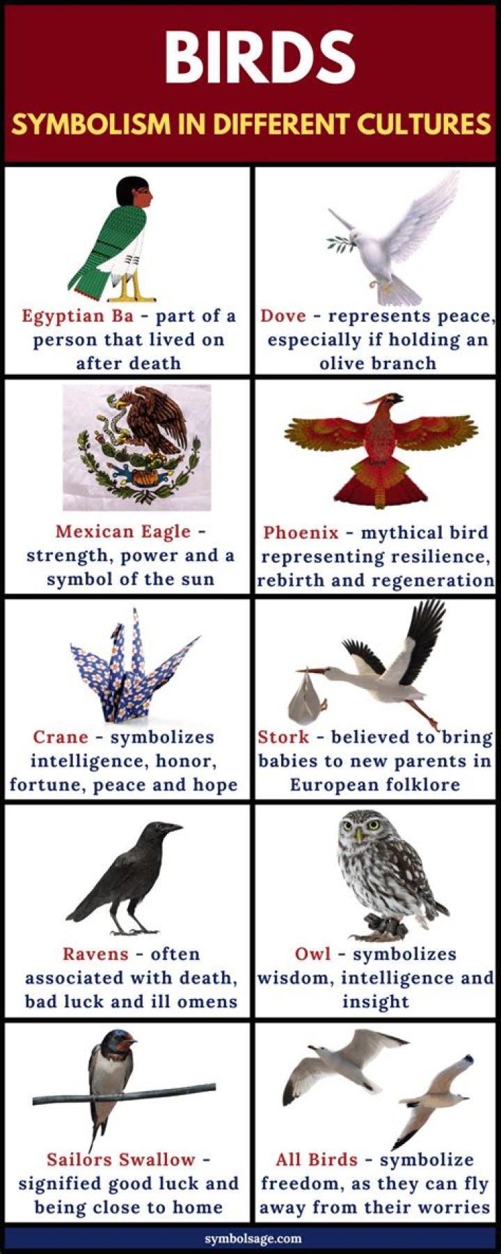 Birds Symbolism and Meaning What is a bird, Animal symbolism, Bird tattoo meaning