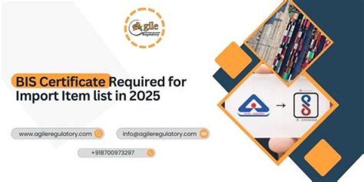 Bis Certificate Required for Importing Item List PDF - Clear Guidelines
