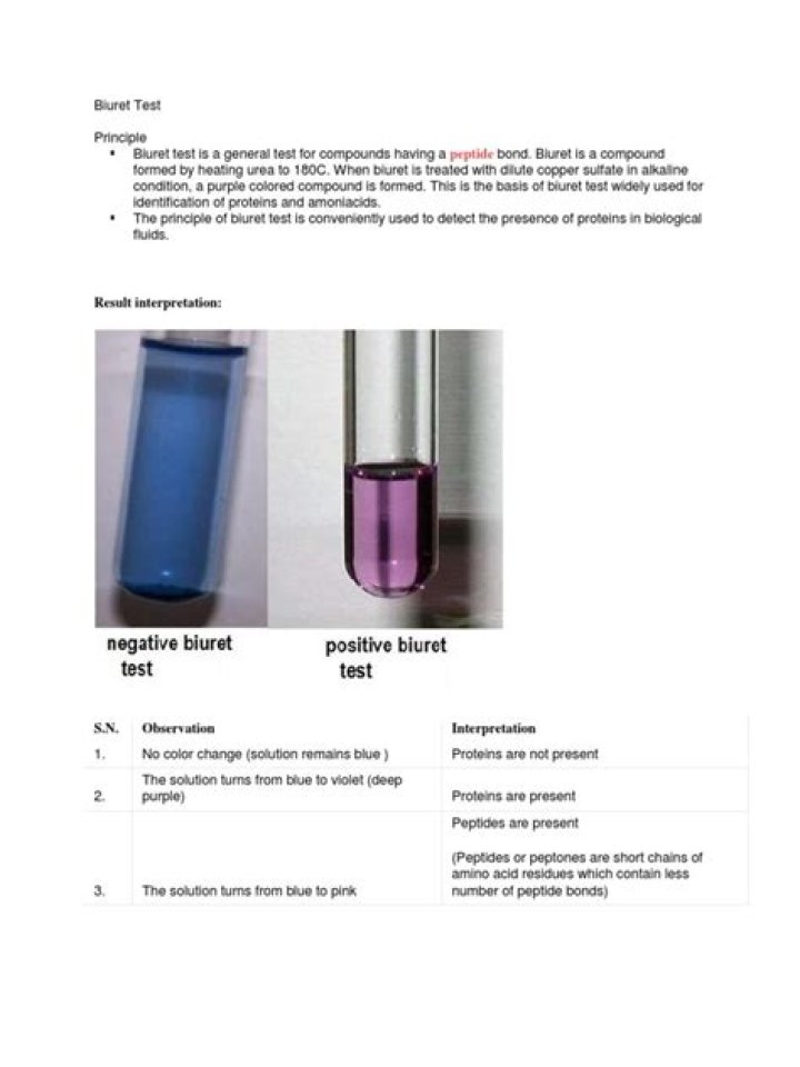Biuret Test PDF: How to Identify Protein with the Biuret Reaction