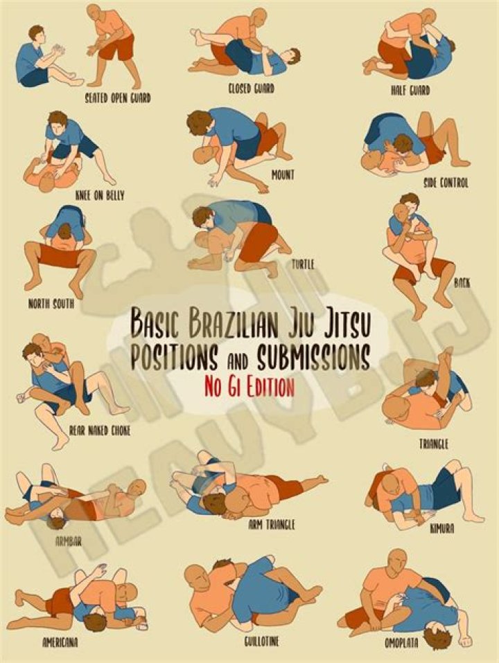 Free Download: Comprehensive BJJ Techniques List PDF