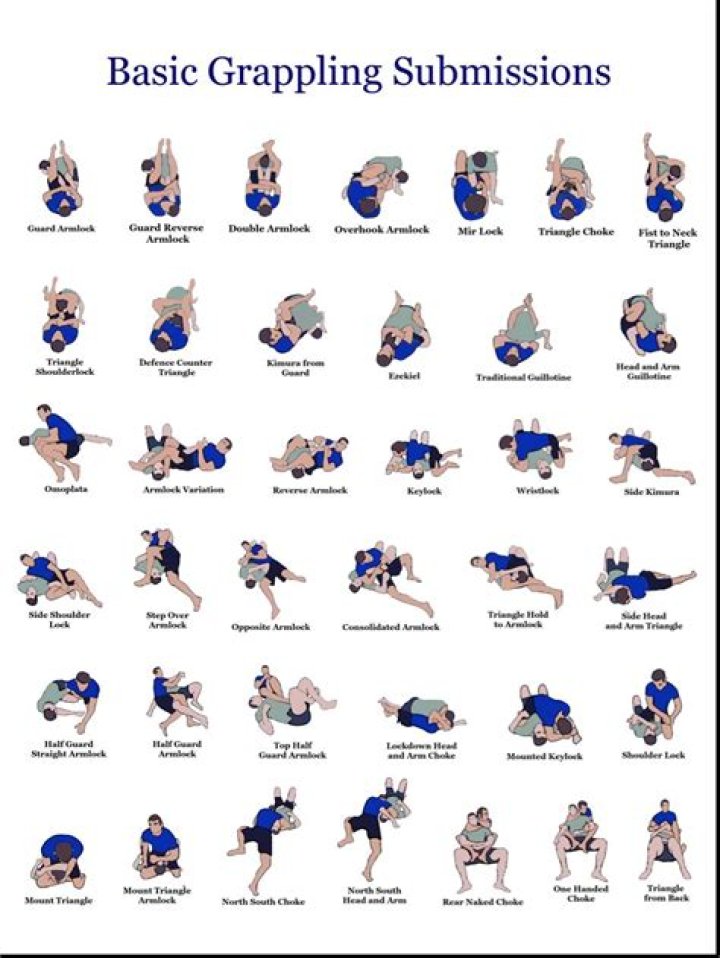 Complete BJJ Techniques List PDF – Master Brazilian Jiu-Jitsu Moves