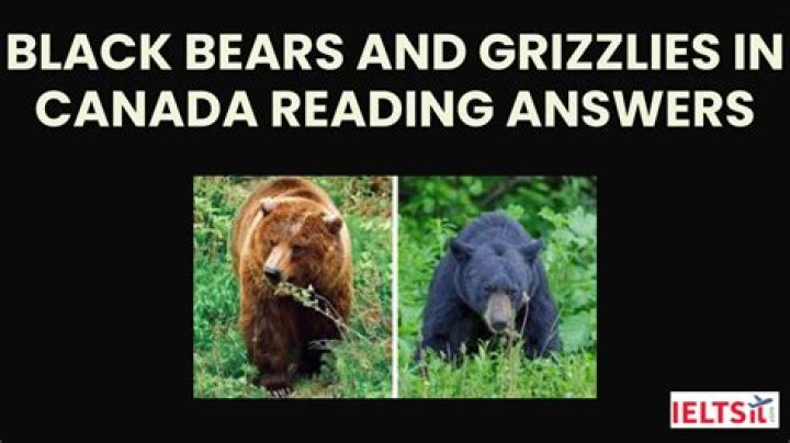 Black Bears and Grizzlies in Canada: IELTS Reading Answers PDF Guide