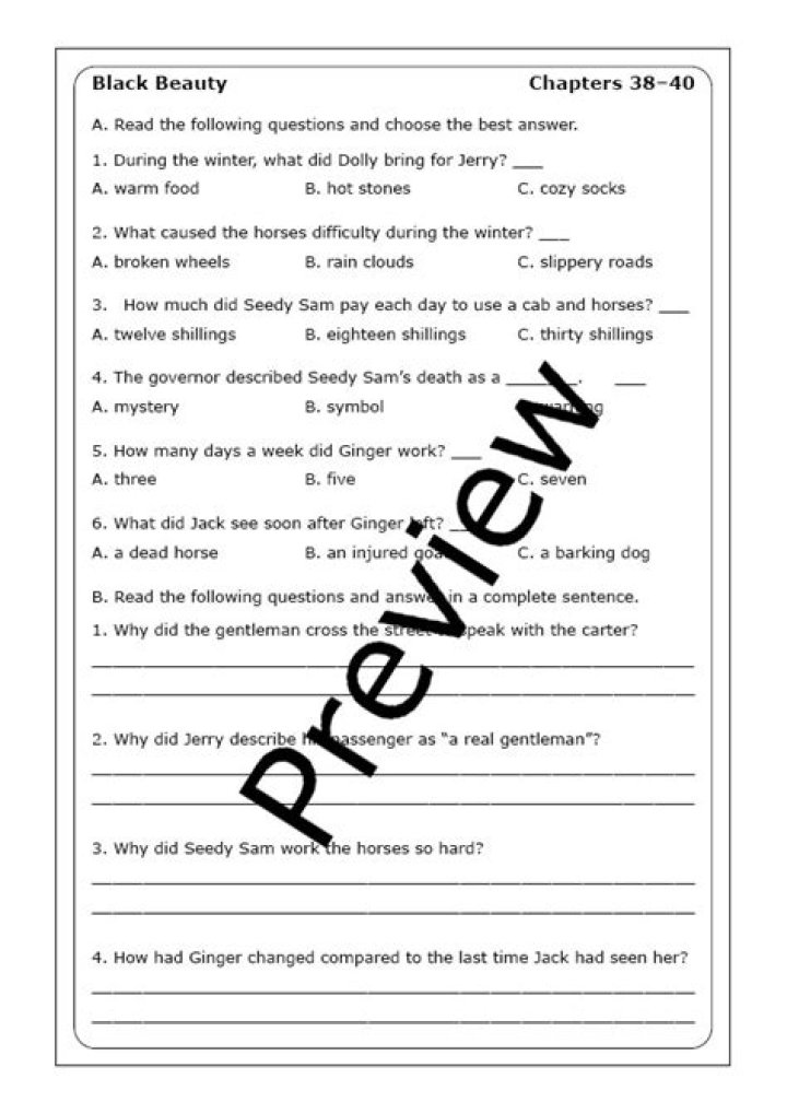 Black Beauty Chapter Questions PDF: Insightful Discussion Guide