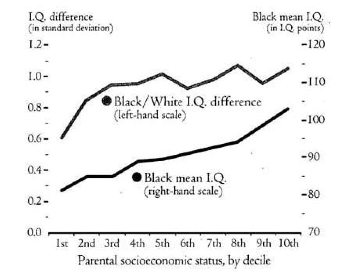 Black Intelligence Test of Cultural Homogeneity: Critical Analysis PDF