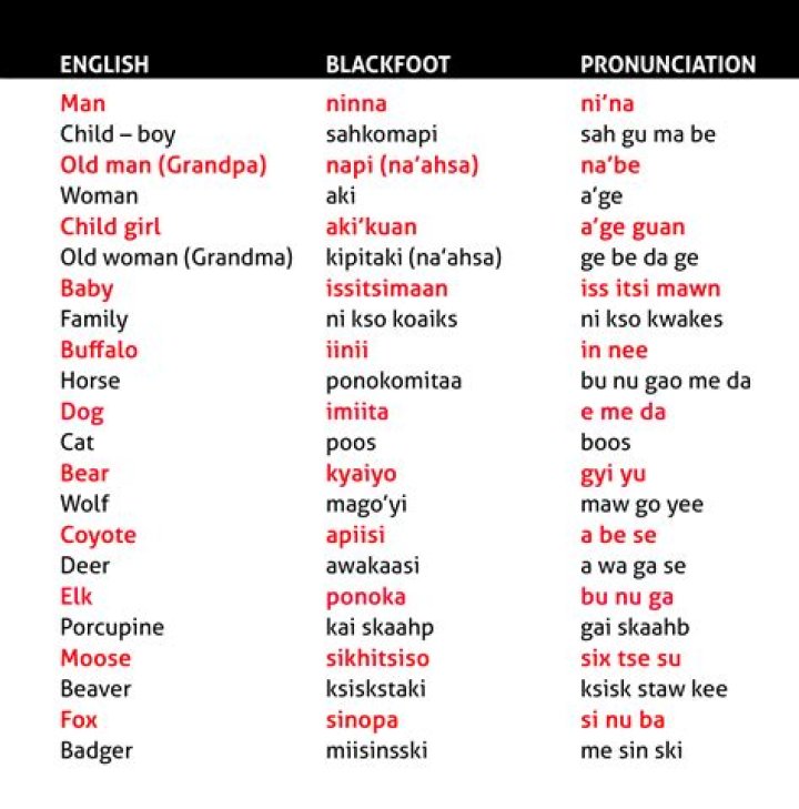 Blackfoot Words List PDF – Learn Native Vocabulary Today