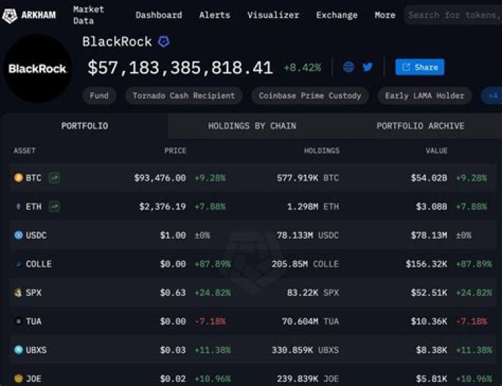 BlackRock Crypto Portfolio List PDF: Full Asset Breakdown & Performance