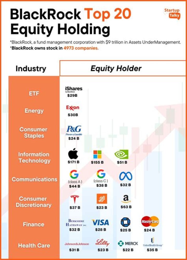 BlackRock’s Investment in Indian Companies: Exclusive PDF List & Analysis