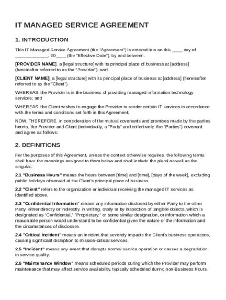 Download Blank Managed Service Agreement PDF Template