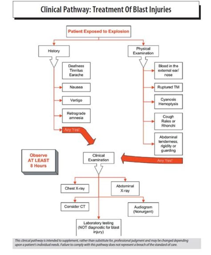 Blast Injury Management PDF: Essential First Aid & Treatment Guide