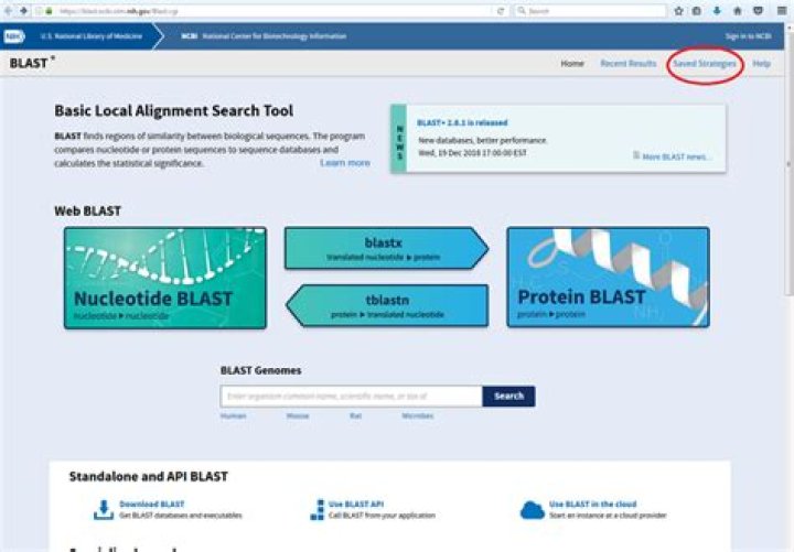 Blast Lab AP Biology Answers PDF – Instant Solution Guide