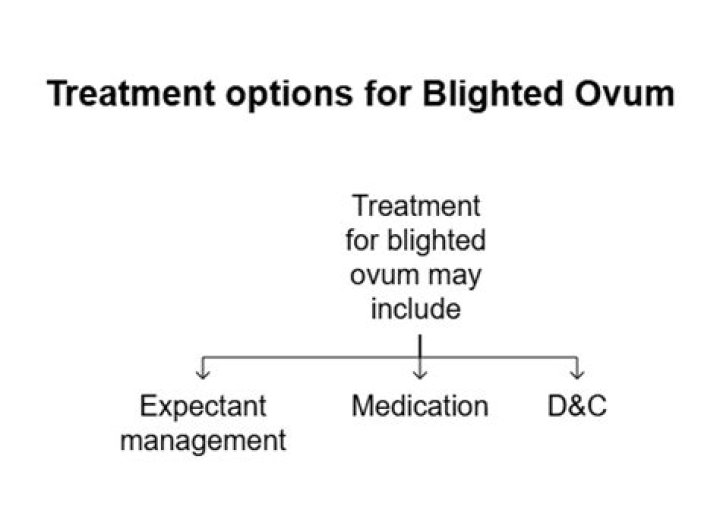 Blighted Ovum Management PDF: Expert Guide & Treatment Options