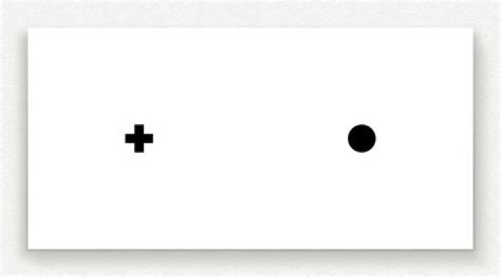 Blind Spot Test PDF: Essential Self-Assessment Tool
