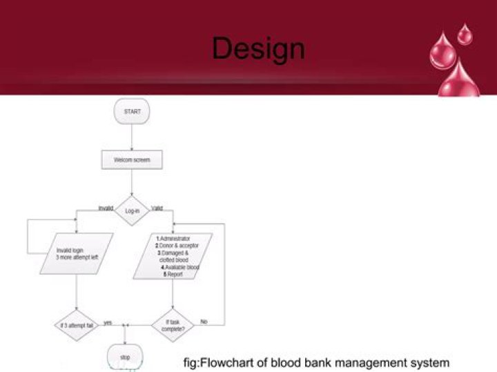 Blood Bank Management System Project Database PDF – Full Project Plan & Implementation Guide