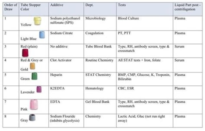 Blood Collection Tube Colors & Essential Lab Tests PDF Guide