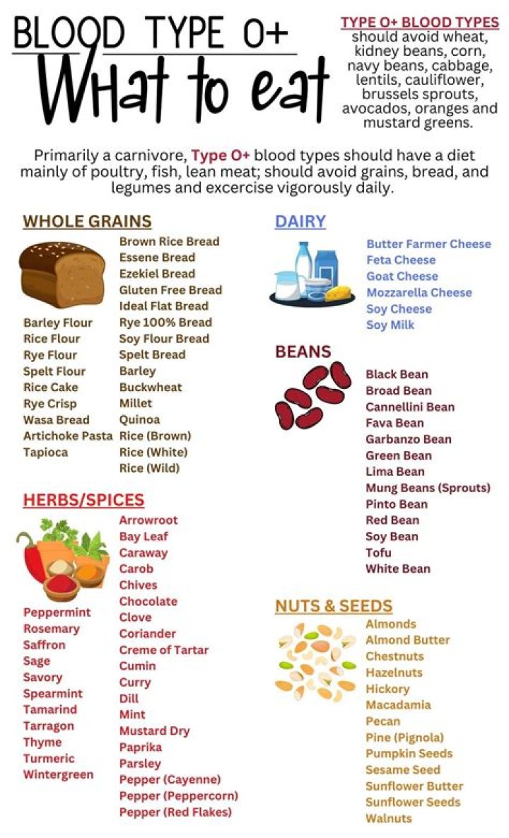 Blood-O Diet Plan PDF: Proven Weight Loss & Blood Health Strategy