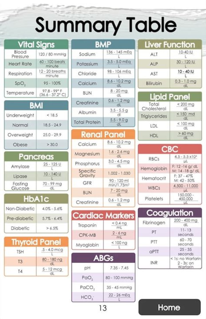 Blood Test Results Chart PDF – Easy-to-Read Report