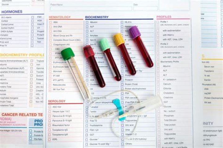Blood Test Results Explained PDF – Understand Your Lab Report