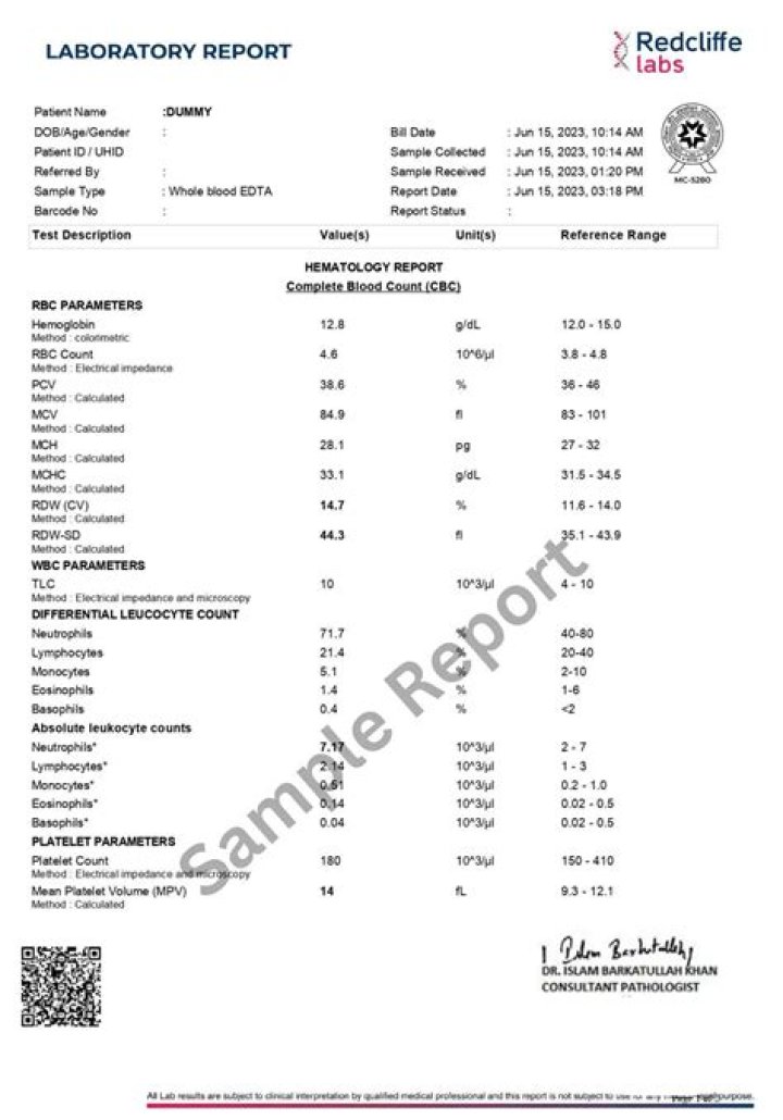 Accurate Blood Test Results Interpretation PDF Guide