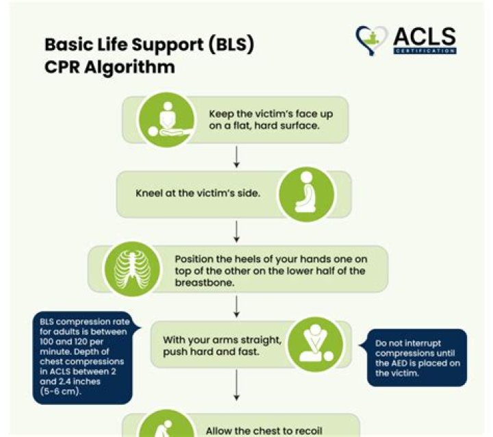 BLS Basic Life Support Exam C Answer Key PDF Free Download