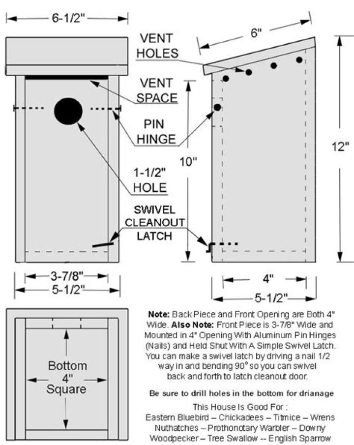 Blue Bird House Plans PDF – Easy DIY Birdhouse Blueprint