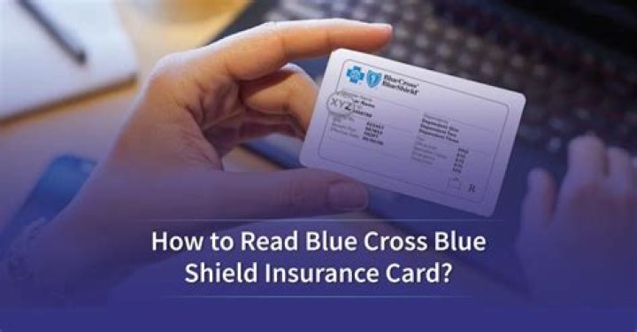 Blue Cross Blue Shield 2023 Federal Basic Plan Brochure PDF for Easy Access