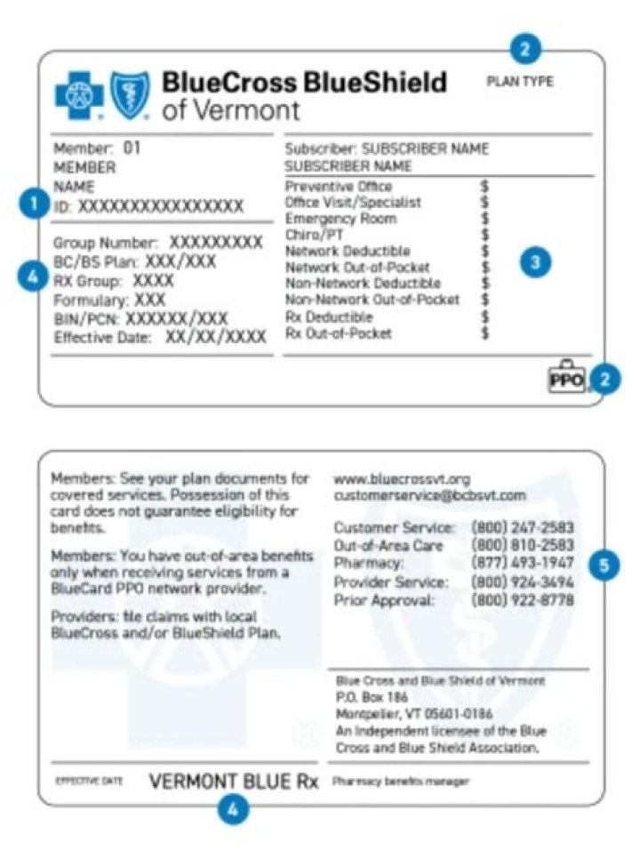 Blue Cross Blue Shield Garnet Plan Benefits: Full PDF Guide