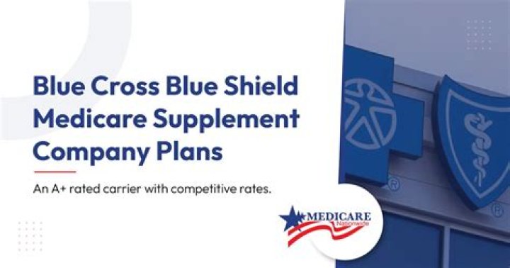 Blue Cross Blue Shield Medicare Supplement Plans 2024: Complete PDF Guide