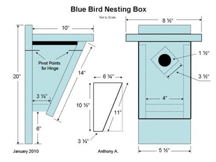 Bluebird Birdhouse Plans PDF: Easy DIY Construction Guide