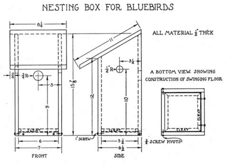 Bluebird Box Plans PDF – Easy DIY Birdhouse Building Guide