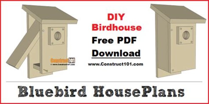 Free Download Bluebird House Plans PDF for Easy Construction