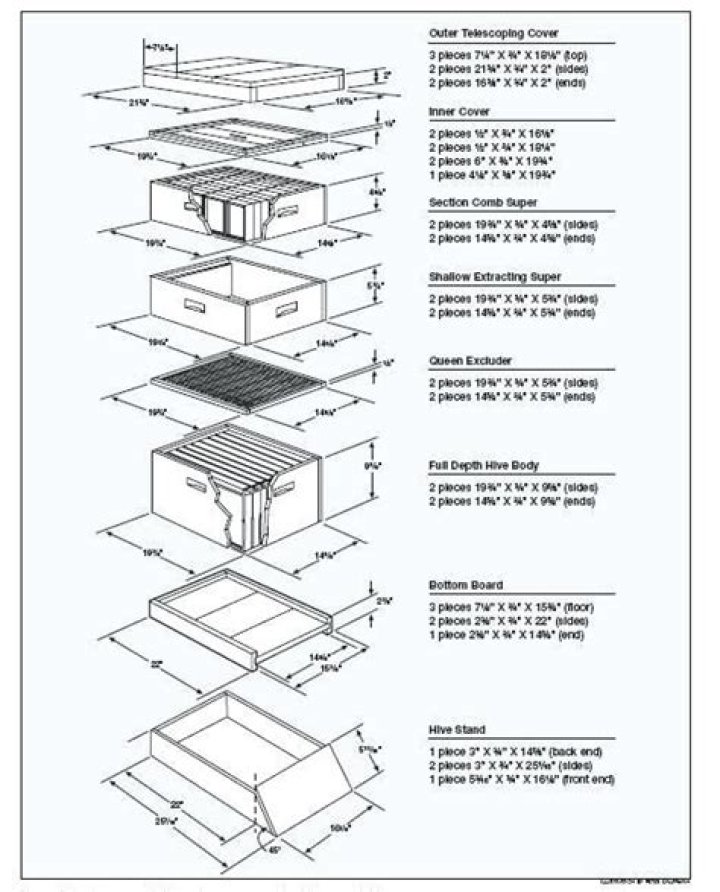 Blueprint Beehive Plans PDF: Build Your Own Stylish Bee Habitat