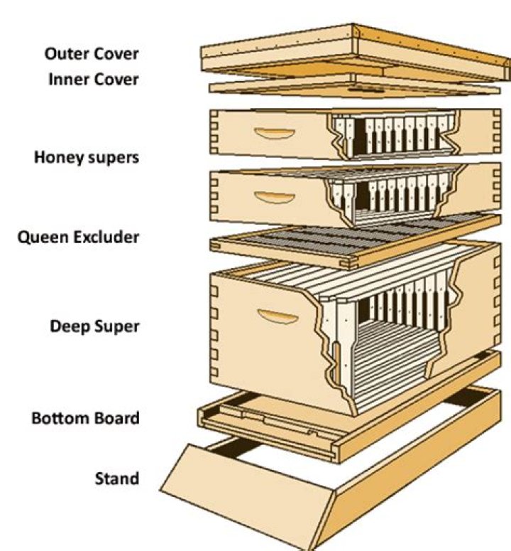 Langstroth Beehive Plans PDF – Complete Beekeeping Construction Blueprint