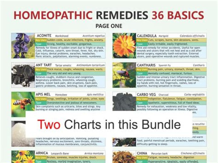 BM Homeopathic Medicine List PDF: Complete Guide & Key Remedies