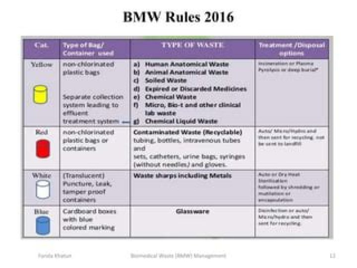 BMW Management Rules 2016 PDF: Official Compliance Guidelines