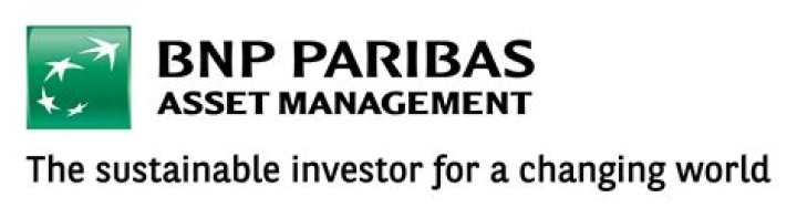 BNP Paribas Asset Management PDF: Key Insights & Investment Strategies