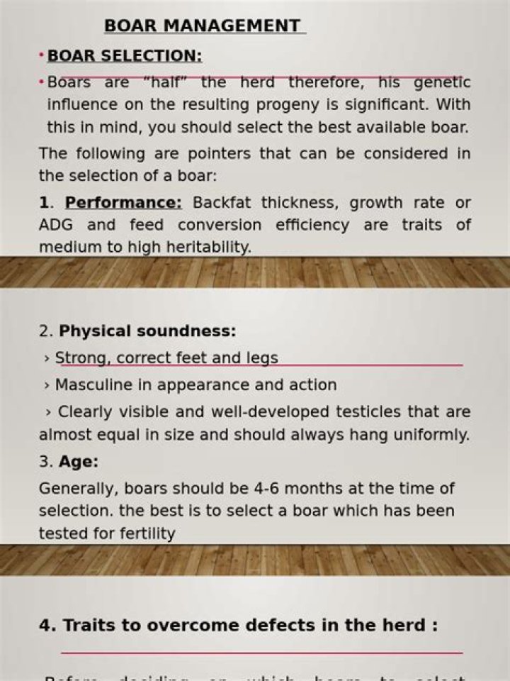 Boar Management PDF: Expert Guide for Effective Farm Practices