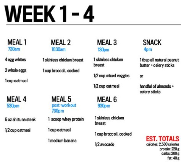 Ultimate Body Building Diet Plan PDF for Mass Gains